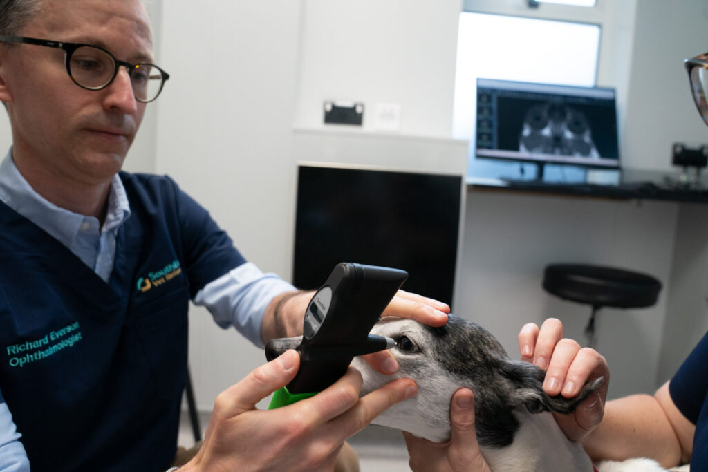 South East Referrals: Dr Richard Everson