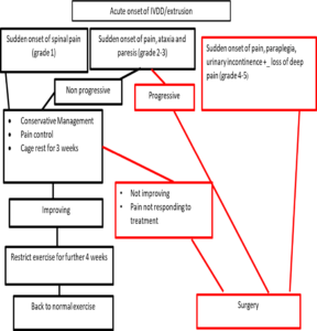 When to refer?
