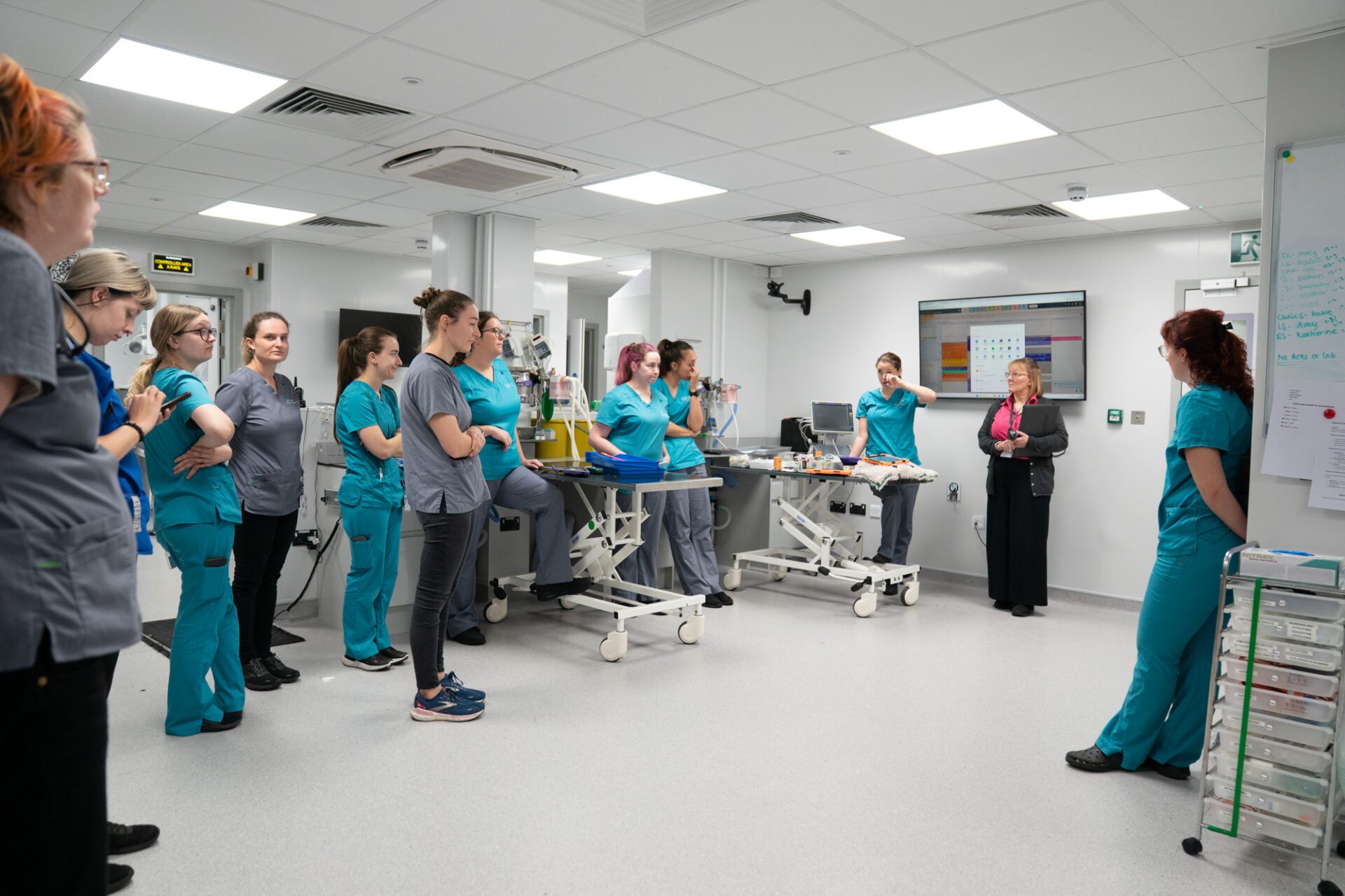 The South East Vet Referrals team in the treatment room at the Sevenoaks hospital